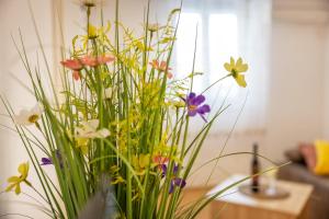 Apartment Robert with Terrace