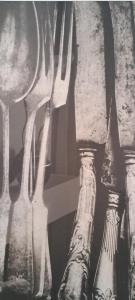 Chalet Hart van Zeeland met overdekt terras & natuur VP086