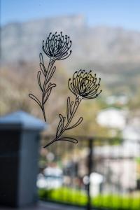 Leeuwendal Bliss with Mountain Views