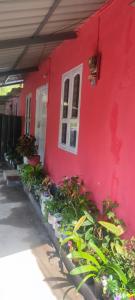 Royal villa Homestay