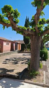Maisons de vacances Le Mazet Sooksabai, confort, charme et decouverte en Petite Camargue : photos des chambres