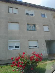 Apartman Lorica