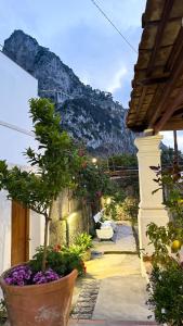 Il Cigno B&B