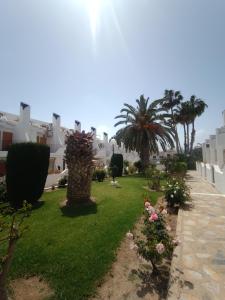 PMT21 Bungalow Cabo Roig