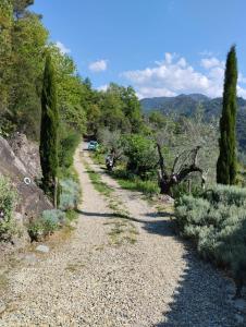 Briciole di Pietra B&B