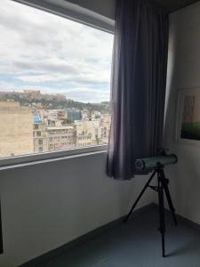 athens parthenon view