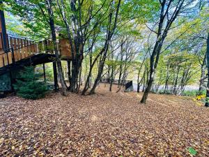 WoodLand Tskhvarichamia Private Cottage in Forest , 25 min from Tbilisi, Easy Access