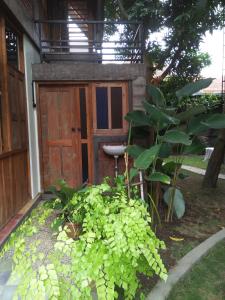 Omah Mawar 2-Floor Studio Unit