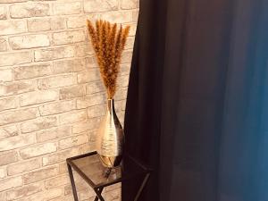 Appartements La Suite Mulhouse : photos des chambres