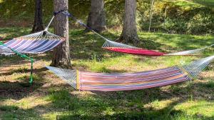 Sasquatch Encounter - Themed Arcade, Theater, Fire Place, FirePit