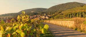 Hotels Hotel Terra Vinum : photos des chambres