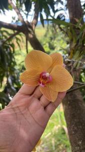 Sítio Recanto Feliz