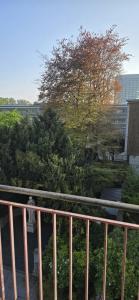 Fernand Cocq Elegant Residence