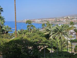 Club Atlantis 148 - One Bed