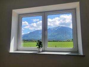 Appartements und Vinoteka DAVID