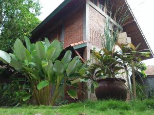 Melati Double Studio with Shady Balcony Upstairs