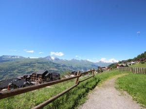 Appartements Studio cabine 4 pers a Vallandry, terrasses sud/ouest, proche pistes et commerces - FR-1-411-137 : photos des chambres