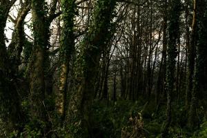 Reconnect at Off-Grid Hilltop Cabin with Mountain Views