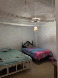 Casa de Campo Mamaia