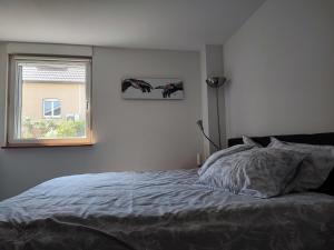Appartements Le jardin d-Horace o Im Garten von Horaz : photos des chambres