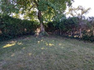 Maisons de vacances Charming garden house : photos des chambres