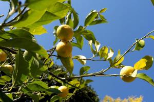 Toldino House 4 min by car to lake
