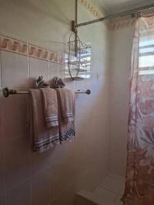 Briannas Rustic Retreat