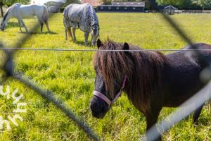 Gezellig 2-persoons vakantiehuis landelijk gelegen in Serooskerke