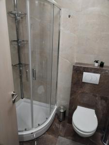 Apartment Ledine
