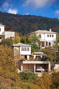 Great Pelion Villa Villa Dioni 2 Bedrooms Aghios Georgios
