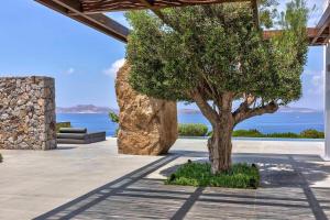 Majestic Mykonos Villa 5 Bedrooms Villa Shannon Private Infinity Pool