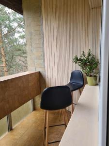 Sea and Forest Escape Apartment