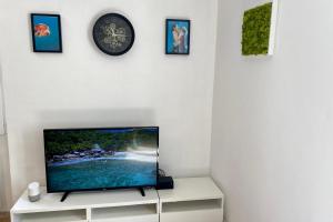 Spacious apartment near city center