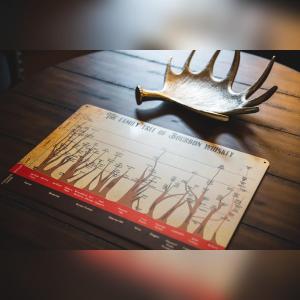 Couples Paradise II - by The Chalets