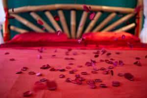 Appartements Loveroom, Bali la secrete chez nounours : photos des chambres