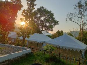 Hotel Natures Nest #Free Wifi# Luxury rooms with Outstanding nature view# Free Parking