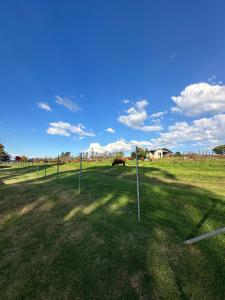 Umtshitshi Camp Site