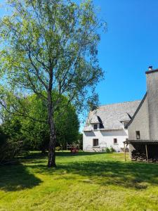 Maisons d'hotes La Bonne Etoile - Chambres d'hotes et Appartements - : photos des chambres