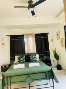 Luxury Villa in Vista Cana