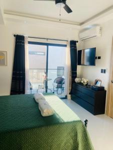 Luxury Villa in Vista Cana