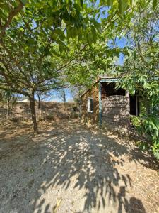Campings Chalet confort et detente : photos des chambres