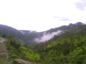 Mountain Bliss Stay Ramola garhwali restaurants