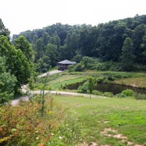 Lilypad - by The Chalets