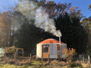 Ma Yourte au fond du jardin