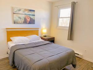 Motel Grande Ile