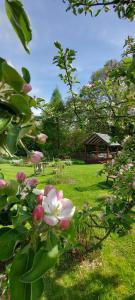 U Helci - Na Krańcu Świata - Azyl tylko dla Dorosłych