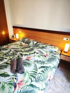 Seawolf Apartment, Lloret de Mar