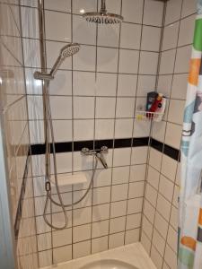 Amsterdam Millgreen Den Ilp 198