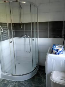 Domek całoroczny 8 os, pokoje nad stawem