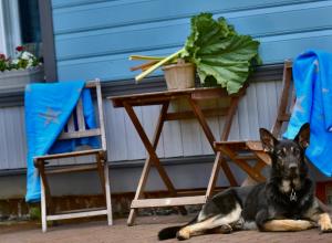 Villa Blue Heaven Pärnu